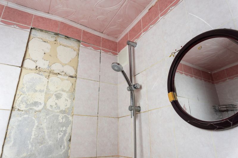 Shower Tile Waterproofing in Conroe, TX